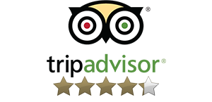 tripadvisor