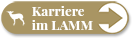 Karriere im Lamm